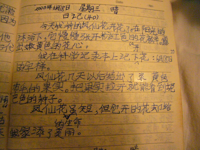 提高艺术专业论文写作技巧的终极指南